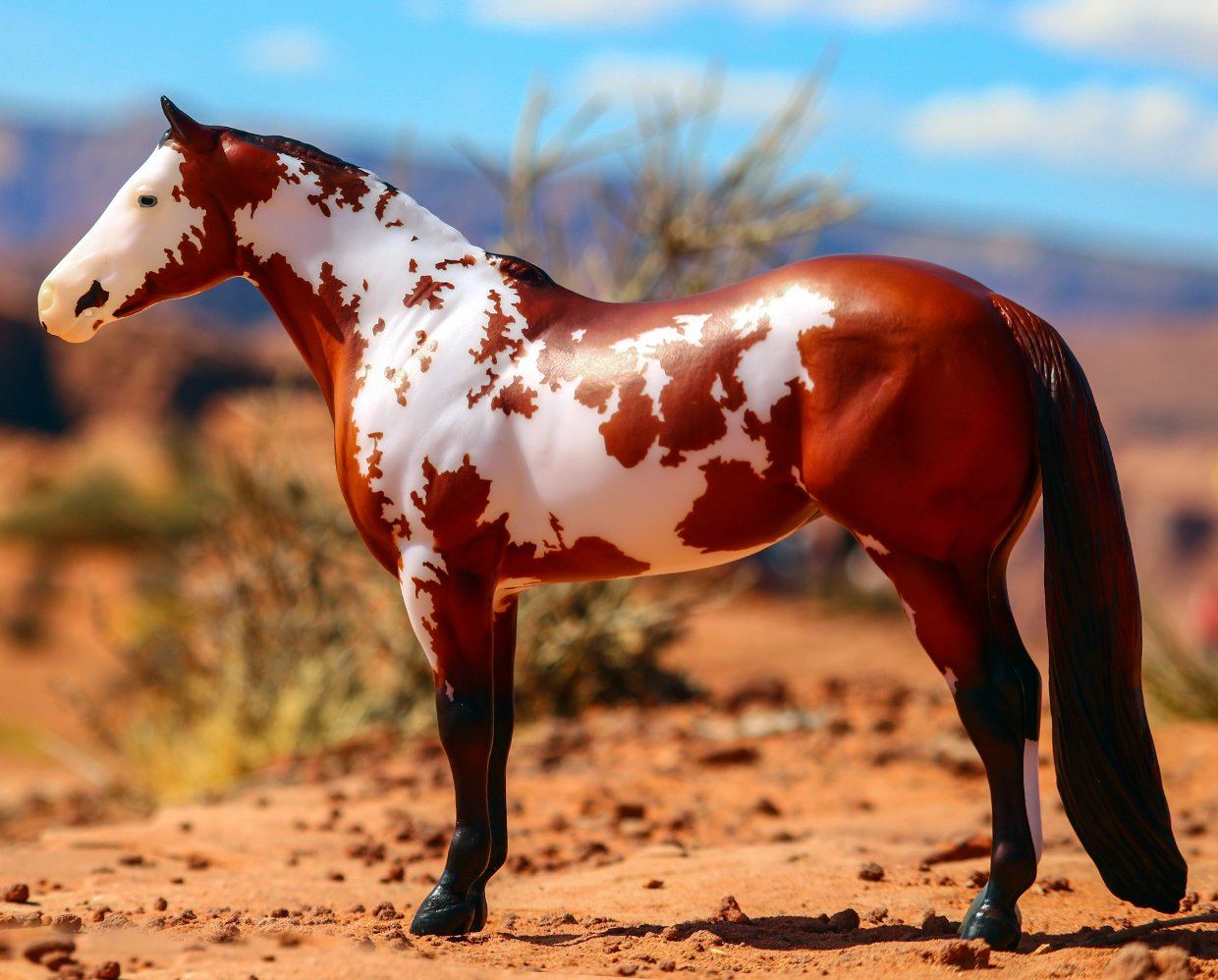 Breyer, Champion de dressage western vraiment inégalé