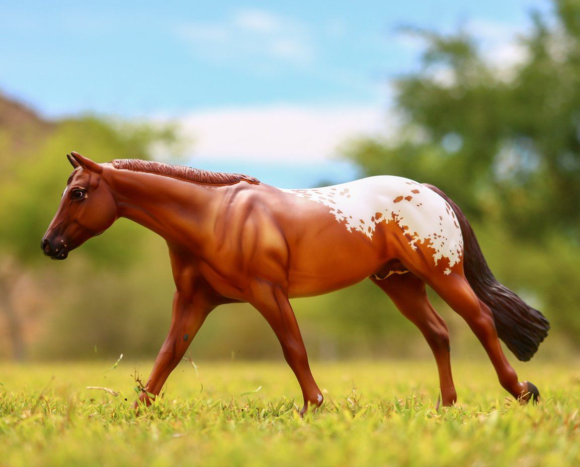 Breyer, Chocolatey Champion Appaloosa