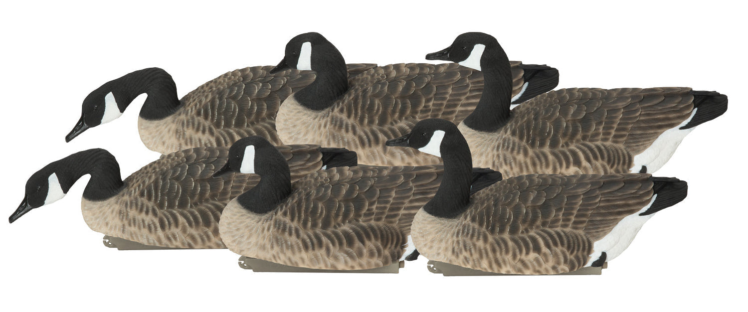 Avery Outdoors, Ghg Pro-grade Xd Canada Floater Decoys - Harvester Pack