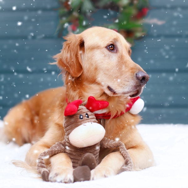 ZippyPaws, Jouet pour chien ZippyPaws Holiday Crinkle Reindeer