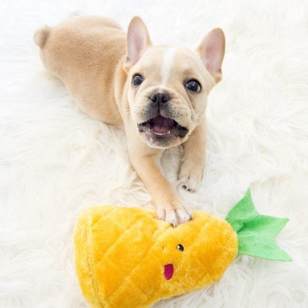 ZippyPaws, Jouet pour chien ZippyPaws NomNomz Plush Pineapple