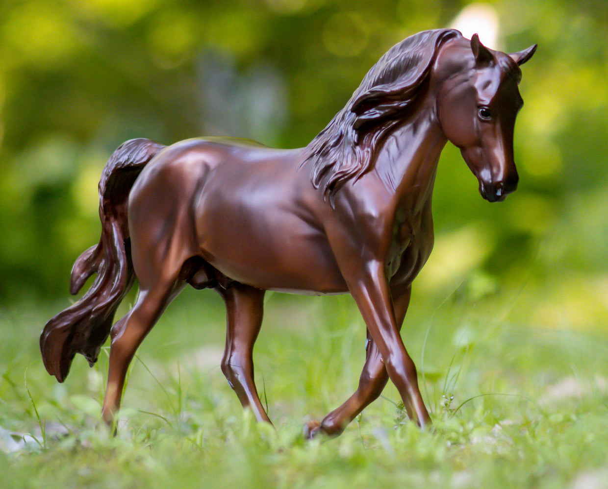 Breyer, Morgan Quest Native Sun