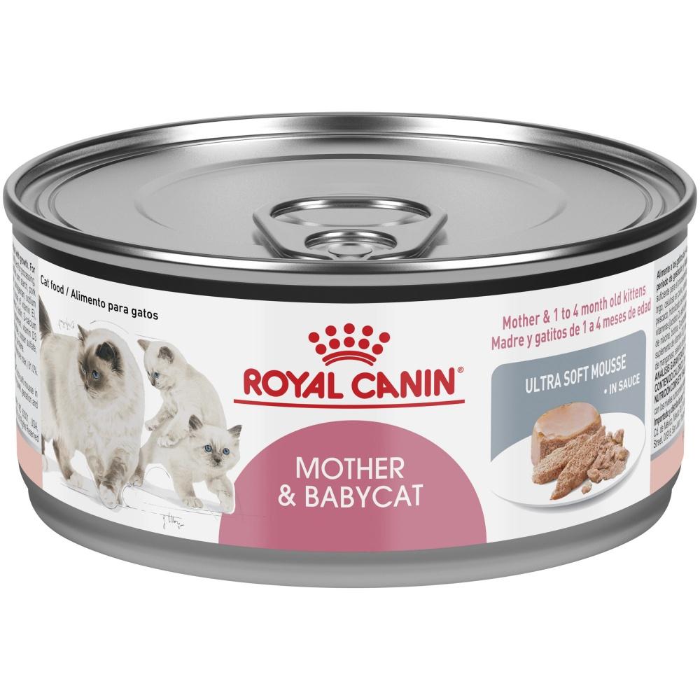 Royal Canin, Royal Canin Feline Health Nutrition Mother & Babycat Ultra Soft Mousse in Sauce nourriture en boîte pour chats