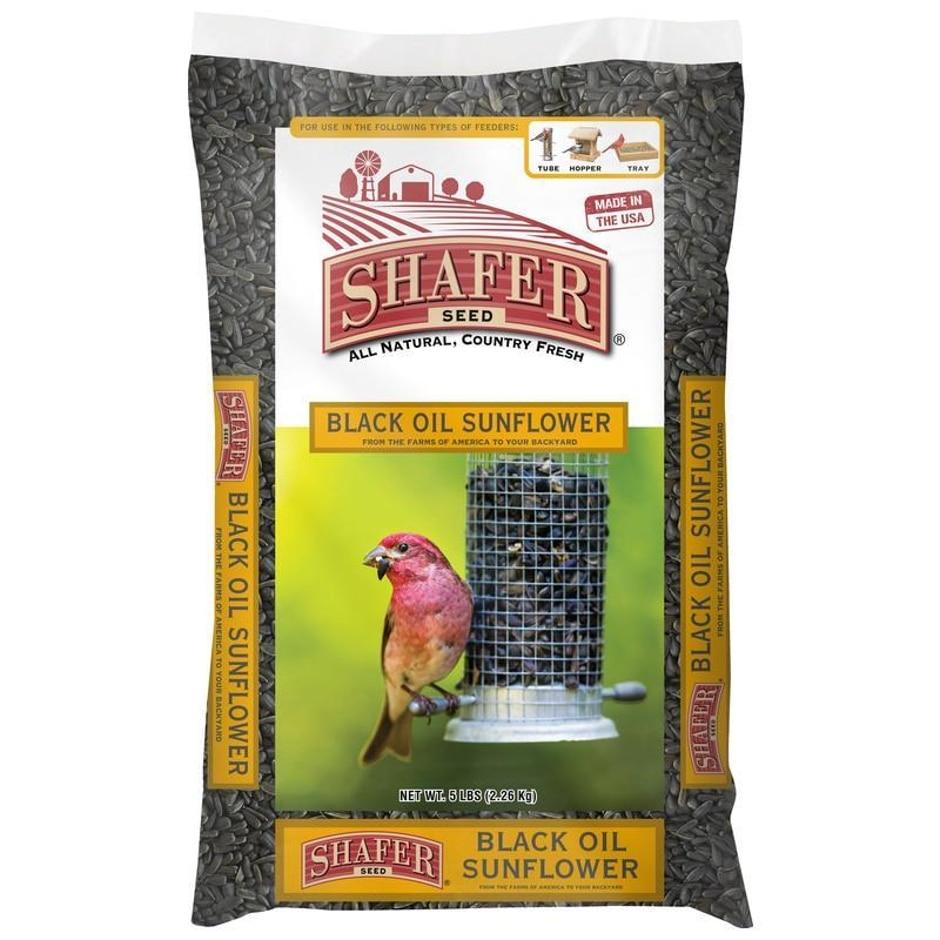 Shafer, SHAFER BLACK OIL SUNFLOWER