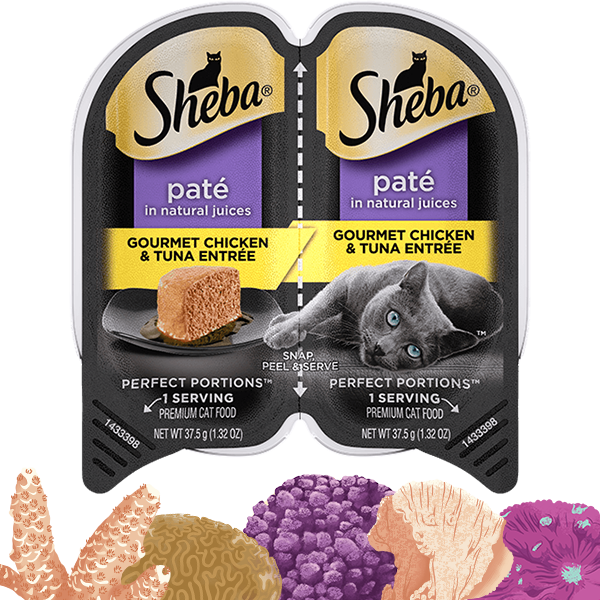 Sheba, SHEBA® PERFECT PORTIONS™ Premium Paté Entrée Gourmet Poulet & Thon