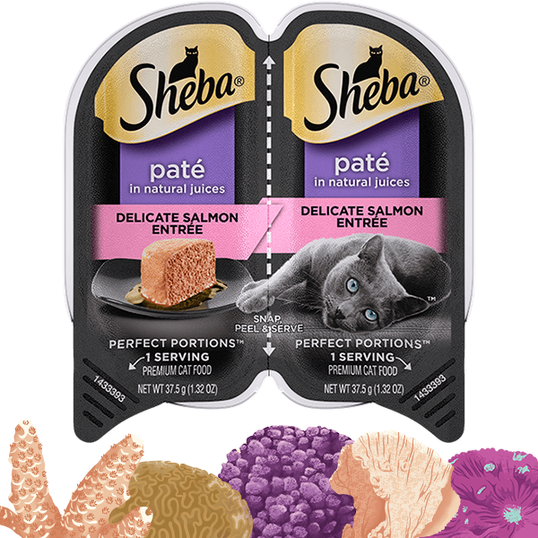 Sheba, SHEBA® PERFECT PORTIONS™ Premium Paté Entrée saumon délicat