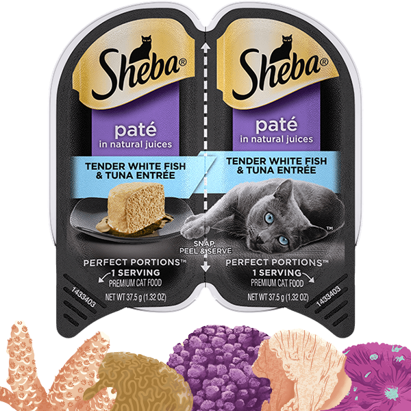 Sheba, SHEBA® PERFECT PORTIONS™ Premium Paté Tendre Entrée Poisson Blanc & Thon