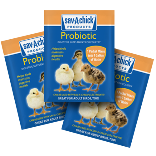 Sav-a-Chick, Sav-A-Chick® Supplément probiotique