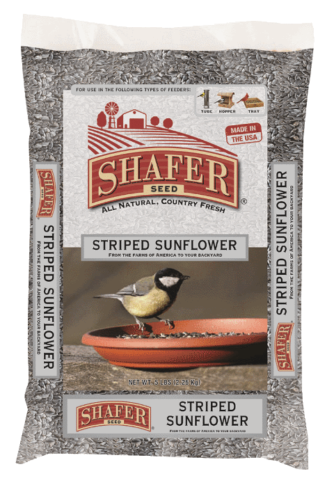 Shafer, Shafer Seed- Striped Sunflower Seed (graines de tournesol rayées)