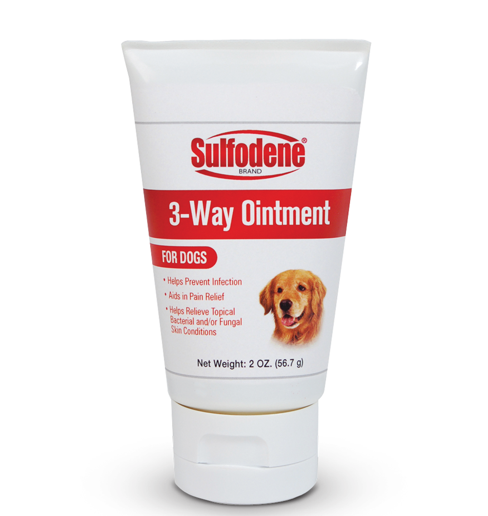 Sulfodène, Sulfodene 3-Way Ointment for Dogs for Hot Spots (pommade pour chiens pour les points chauds)