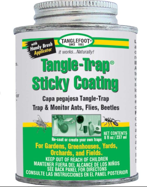 Pieds enchevêtrés, Tanglefoot Tangle-trap Glue Outdoor Insect Bait