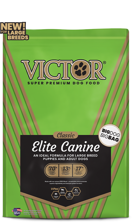 Victor, VICTOR Elite Canine pour chiens