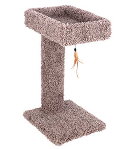 WARE, Ware Pet Products Cactus pour chat avec jouet, 24 pouces