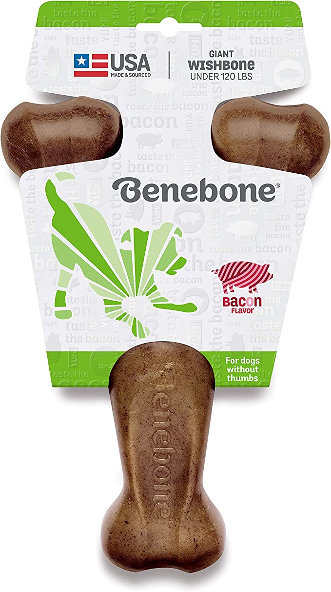 Benebone, Wishbone, bacon, géant